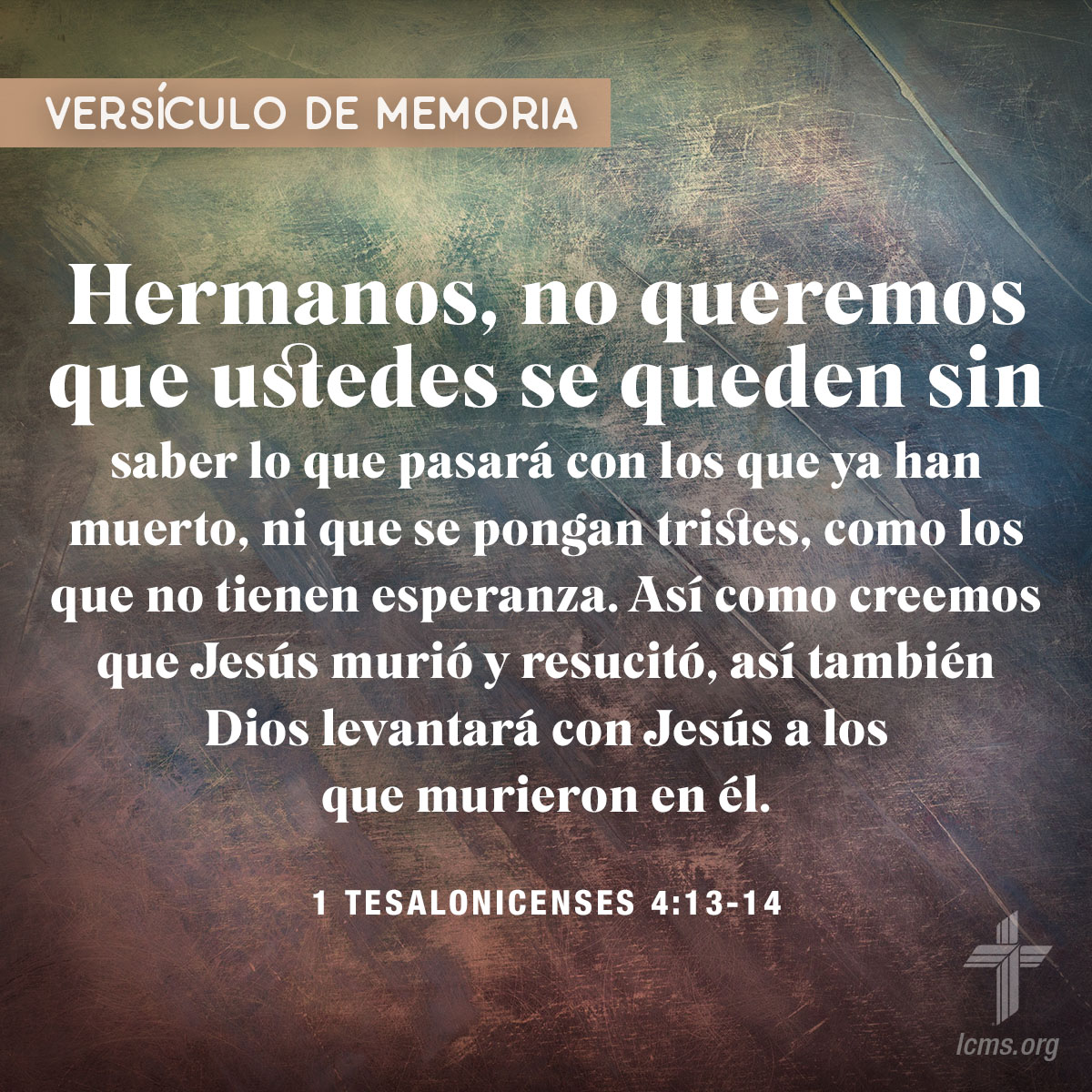 LCMS Memory Verse Challenge: Spanish graphics